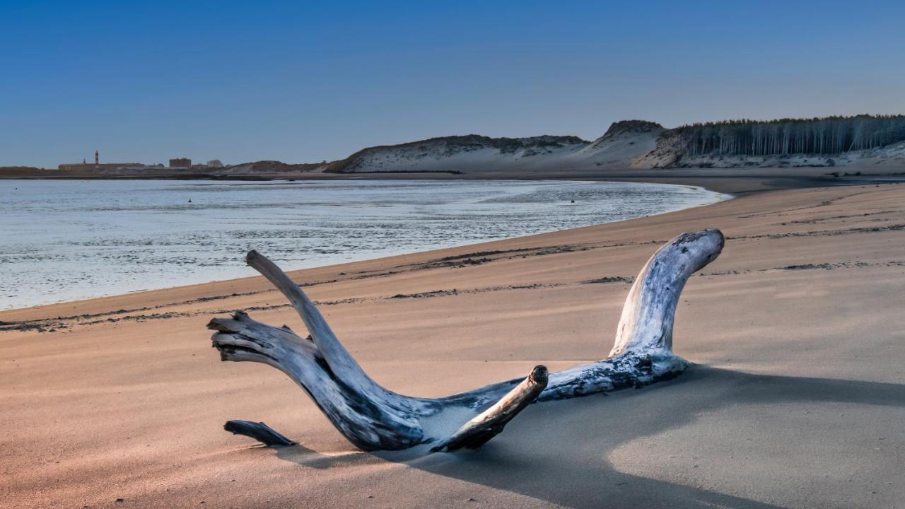 Studio "Les Pieds Dans L'Eau" - 50M Front De Mer Berck Eksteriør billede